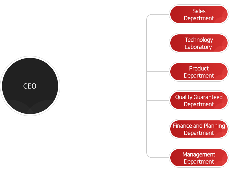 Organization도