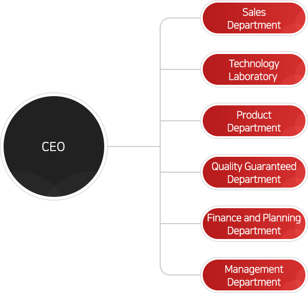 Organization도